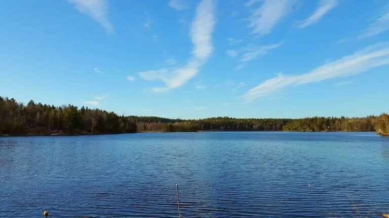 Nature Hike from Stockholm - The Forest and Lake Experience