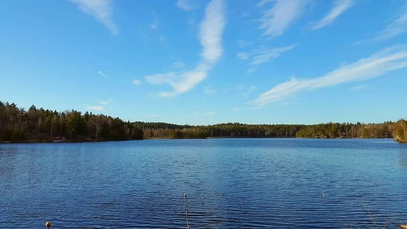 Nature Hike from Stockholm - The Forest and Lake Experience