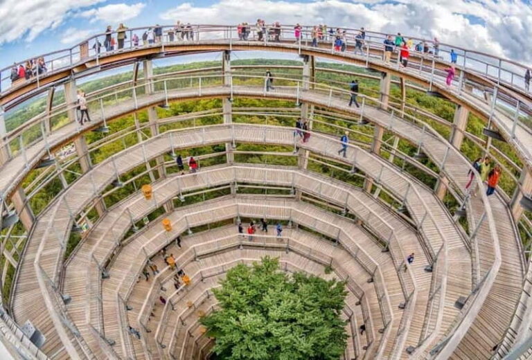 Naturerbe Zentrum Rügen & Treetop Walk Experience - Who Will Love this Experience?