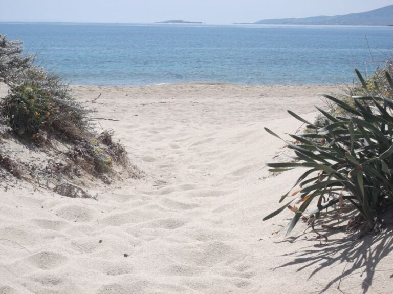 Naxos: Private Minibus Rental with an Experienced Driver - Customizable Itineraries: Sightseeing and Beyond