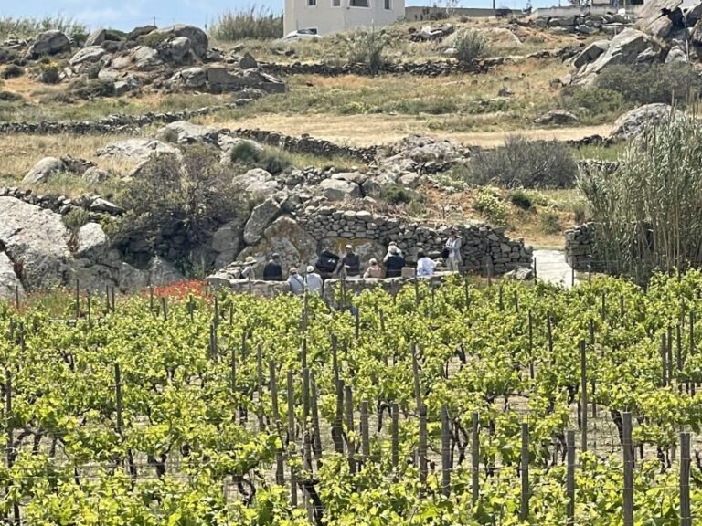 Naxos: Private Vineyard Tour & Wine Tasting with an Expert - An In-Depth Look at the Naxos Private Vineyard Tour & Tasting
