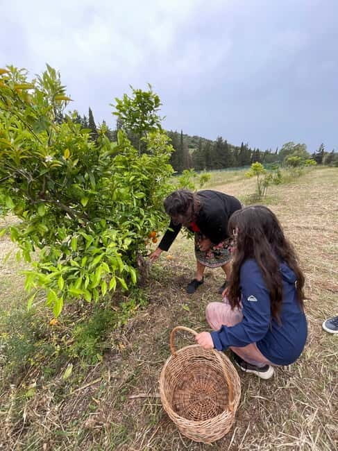 Near Cagliari: Wild Herbs and Healing at "In Our Garden" - The Itinerary: What to Expect on the Tour