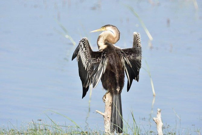 Negombo Lagoon Boat Safari From Negombo - Exploring the Itinerary in Detail  
