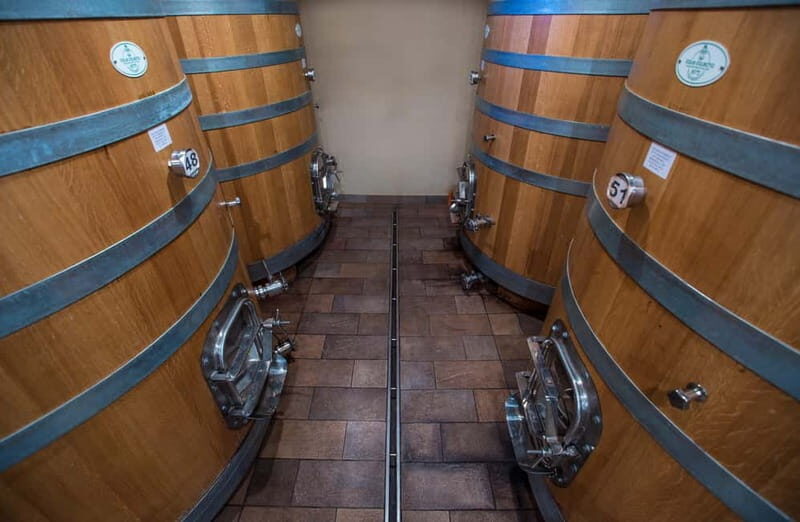 NEIVE: WINERY TOUR AND TASTING 5 WINES - A Deep Dive into the Neive Winery Tour