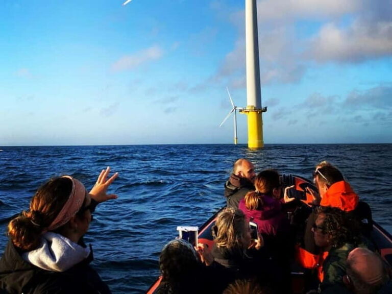 Newhaven: Rampion Offshore Wind Farm Boat Tour - What’s Included and How to Prepare