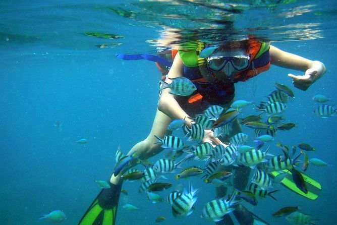 Nha Trang Bay Private Boat Tour - Introduction: A Relaxed Day on the Water