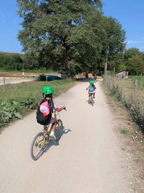 Nice: Discovery tree climbing for children in a natural setting - Key Points