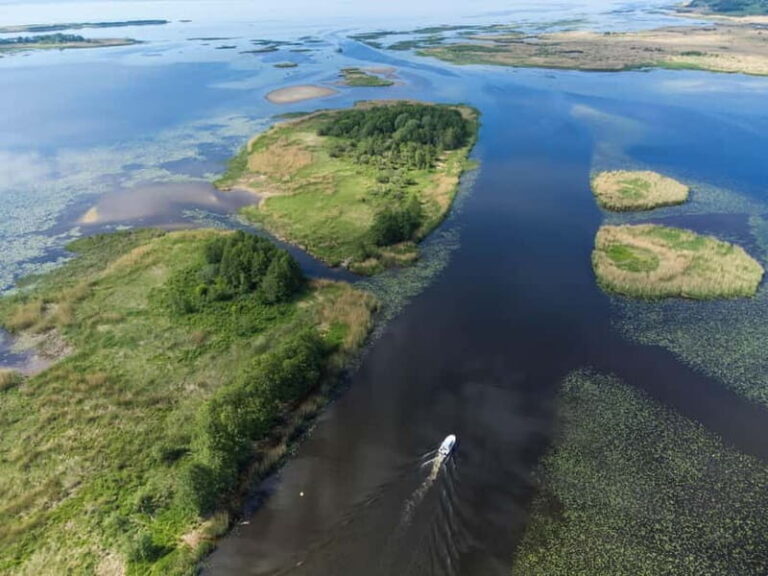 Nida: Bird-Watching Adventure in Nemunas Delta - The Itinerary Breakdown