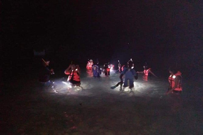 Night Snorkeling Experience in Mirissa - Night Snorkeling Experience in Mirissa