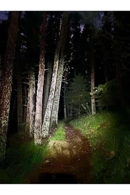 Night view of Sofia, mountain hiking tour to Kamen del Peak. - The Itinerary Breakdown