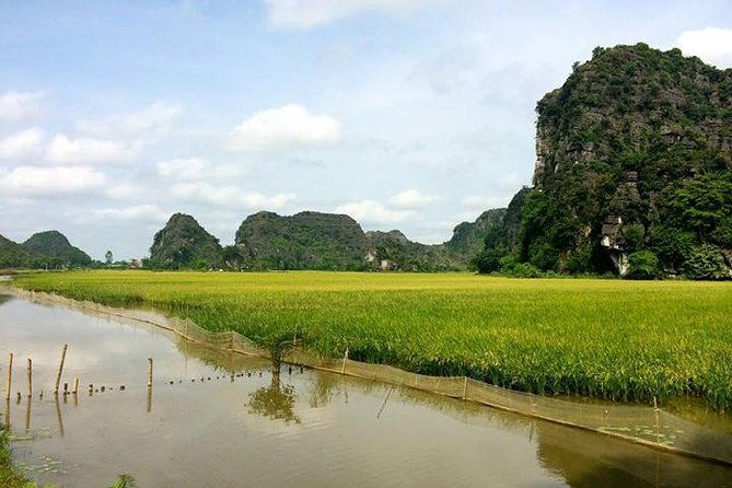 Ninh Binh - Bai Dinh - Trang An full day trip from Hanoi with luxury transfers - An In-Depth Look at the Ninh Binh Full-Day Tour