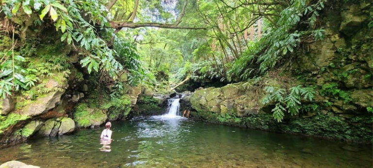 Nordeste/Northeast coast FULL DAY Waterfalls Hike - What to Expect from the Full Day Waterfalls Hike