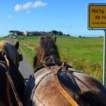 Nordstrand: Daytrip by boat to Amrum - Exploring Amrum: Europes Widest Sandy Beach & Dune Landscape