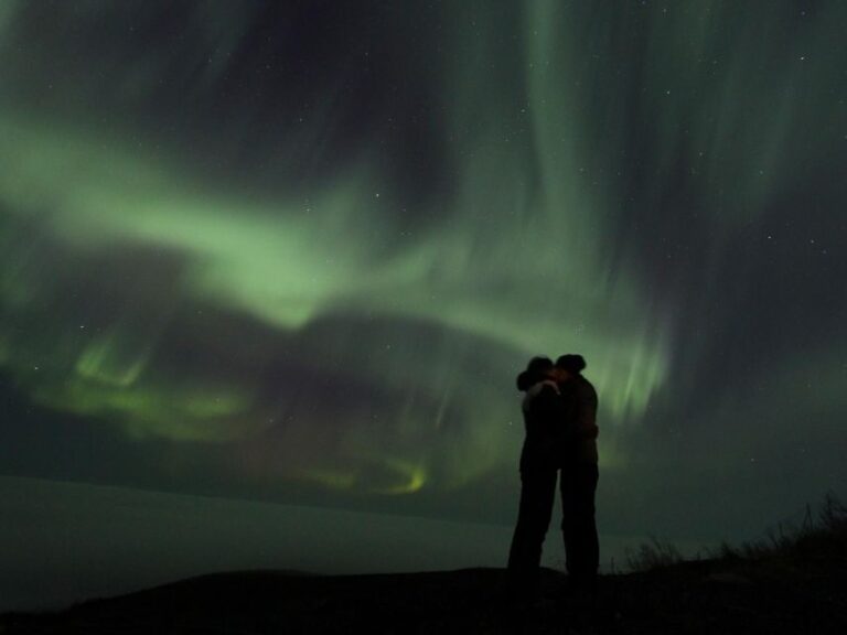 Northern Lights Snowshoe Hike - Wildlife and Nature Highlights