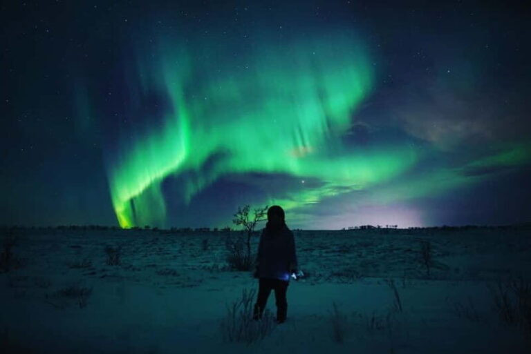 Northern Lights Spotting Tour from the Cruise Harbor - The Journey into the Arctic Night