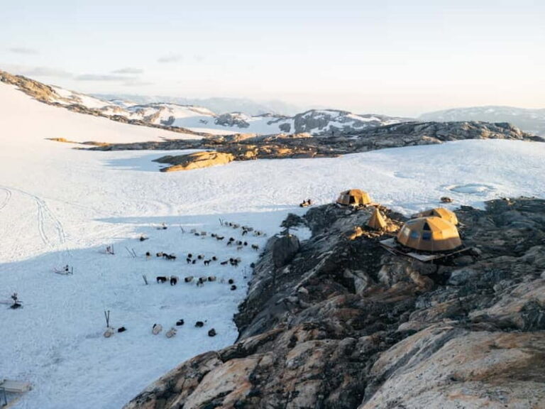 Norway: 2-Day Dogsledding Tour with Glacier Campsite - Practical Details and Value