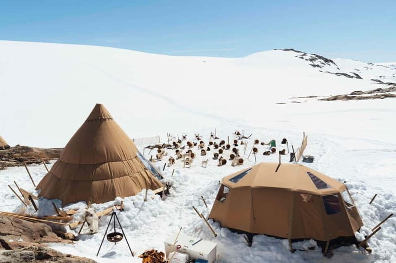 Norway: Husky Camp Visit on top of Folgefonna Glacier - The Itinerary Breakdown