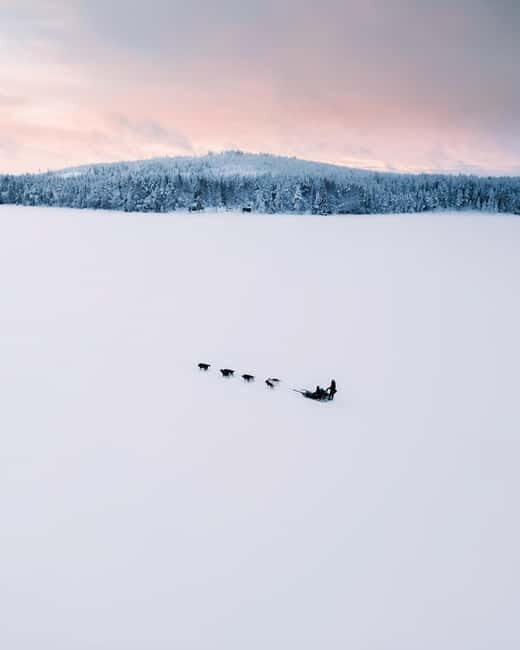 Nulkki Husky Adventure - Who Should Consider This Tour?