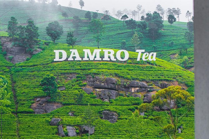 Nuwara Eliya Tea factory,plantation and Water Falls Tour - Key Points