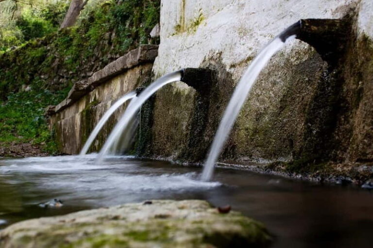Off-Road: Natural Lake, Mountain Gorges, Palm Forest & Beach - What to Expect on the Day