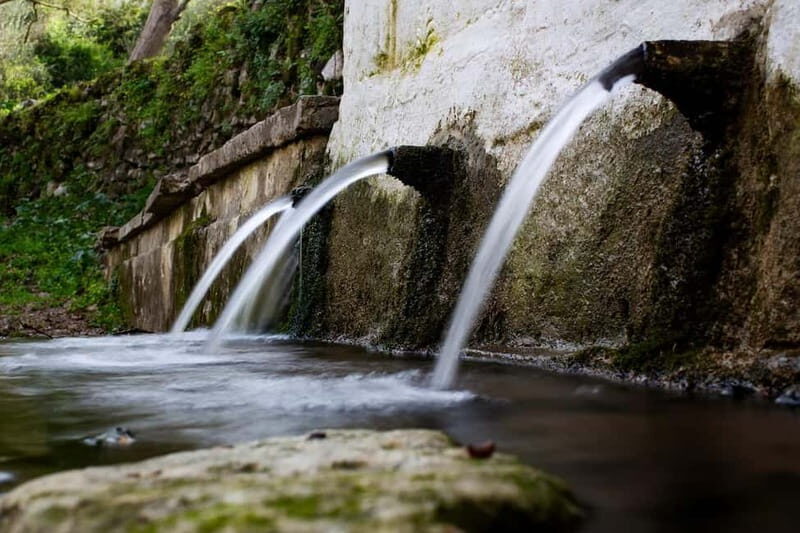 Off-Road: Natural Lake, Mountain Gorges, Palm Forest & Beach - What to Expect on the Day