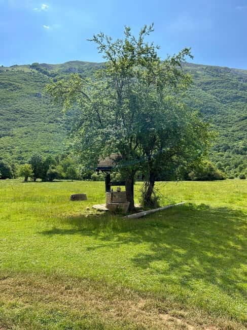 Ohrid and Galiica Jeep safari with BBQ by Lale Tours Ohrid - Exploring Galiica National Park