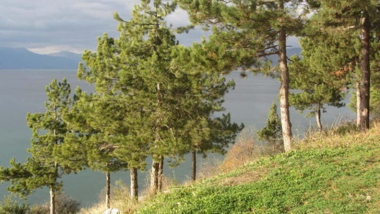 Ohrid: Old Town Bike Rental - The Experience Breakdown
