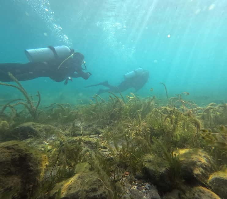Ohrid: Scuba Diving Experience in Lake Ohrid - The Itinerary: What to Expect