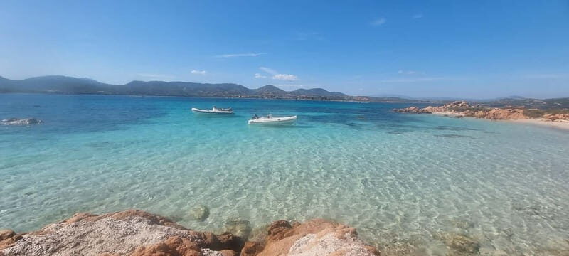 Olbia: Dolphin Watching & Swim with prosecco aperitif - Detailed Breakdown of the Itinerary