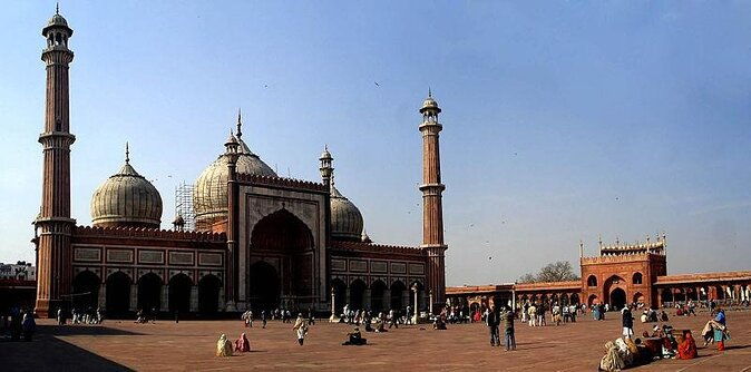 Old Delhi Half day private city tour - Introduction