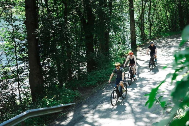 Olden: Guided e-bike tour - In-Depth Look at the Tour