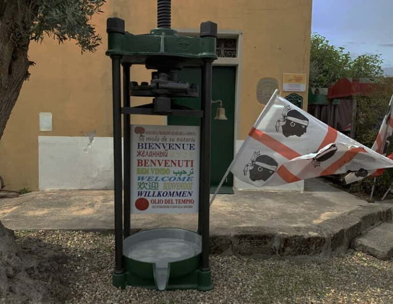 Olive Oil Museum: Extravirgin school - Food & wine tasting - A Closer Look: What to Expect