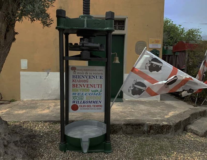 Olive Oil Museum: Extravirgin school - Food & wine tasting - A Closer Look: What to Expect