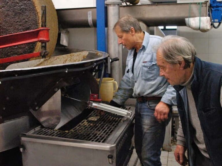 Olive Oil Tasting and Visit at Lake Como - The Experience in Detail