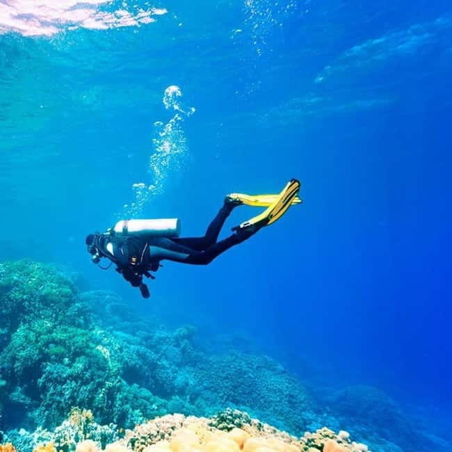 Oludeniz Half Day Scuba Diving Program - An In-Depth Look at the Experience