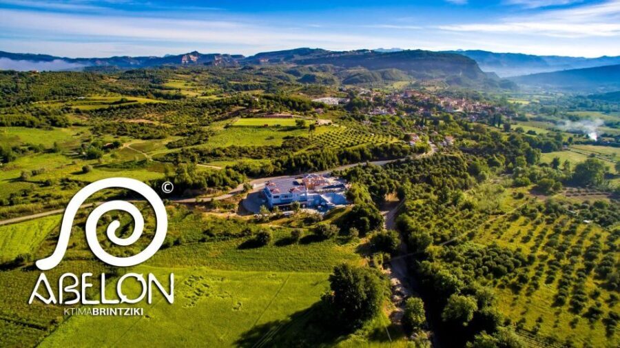 Olympia Treasures: Private Oil, Honey and Wine Tasting Tour - Final Thoughts: Who Will Love This Tour?