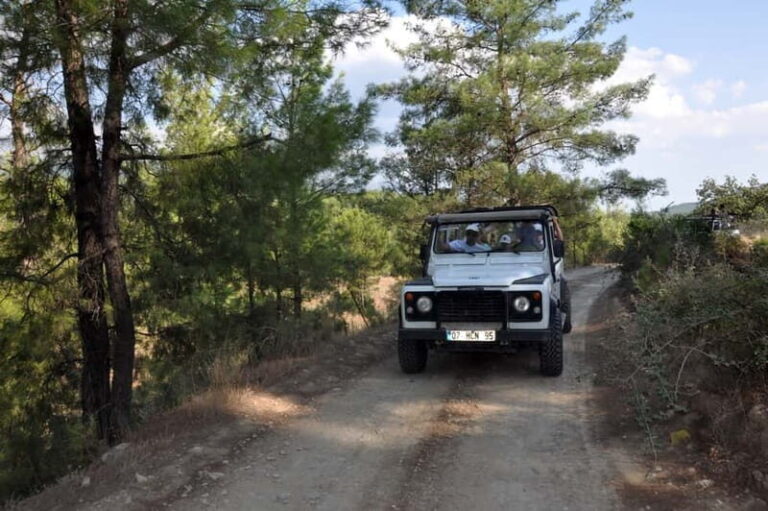 Olympos, Cirali, Chimera Night Tour with Dinner at Ulupinar - Itinerary Breakdown: What to Expect