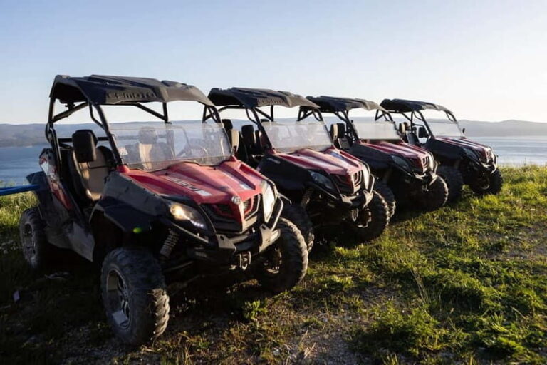 Omi: 2-Person Buggy Tour with Lunch and Wine Tasting - What Travelers Should Know
