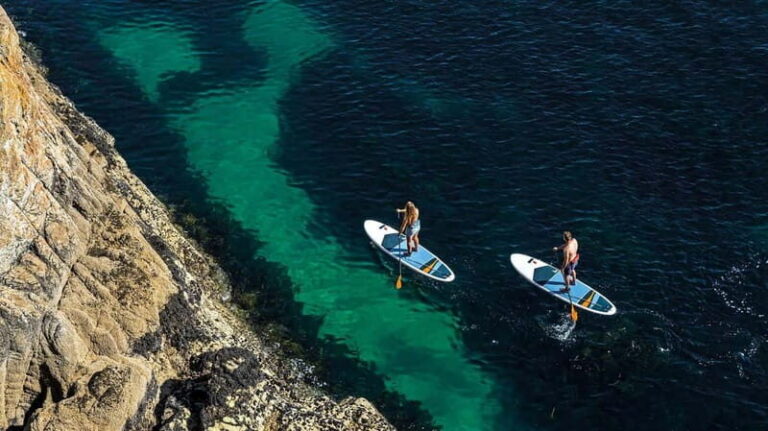 Omi: Stand Up Paddle Board (SUP), Daily Rental - What to Expect During Your Paddle Day