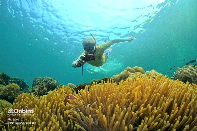 OnBird - PRIVATE ADVENTURE SNORKELING - explore Half-moon reef & Coral Mountain - Key Points
