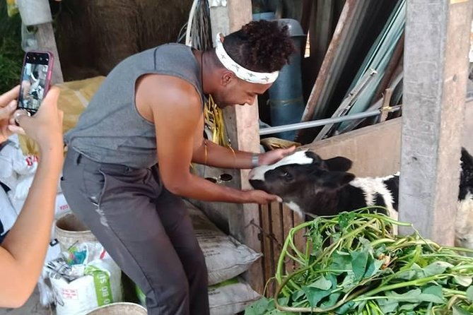 One day be Farmer and Master chef in Saigon - Key Points