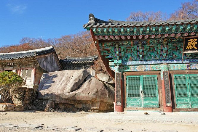 One Day Private Busan Tour with Local Tour Guide - Key Points