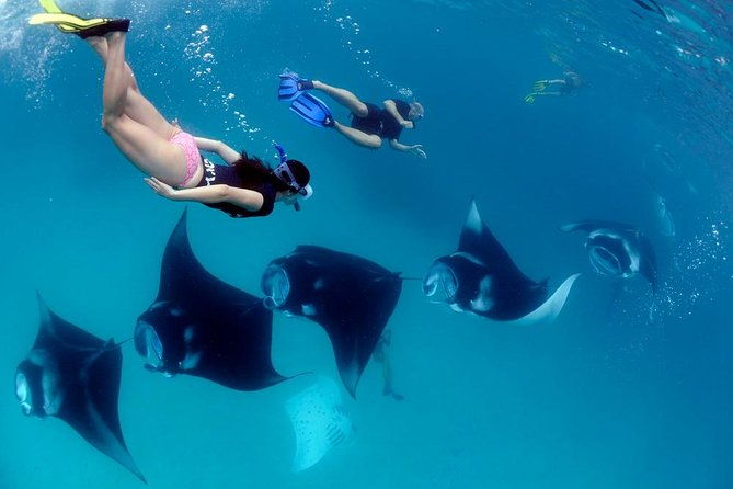 One Day Snorkeling Trip & West Tour Nusa Penida by Penidago - The Full Breakdown of the Tour Experience