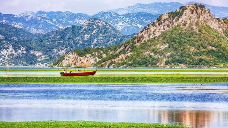 One day trip to Skadar Lake from Tivat - Why Youll Love This Trip: Highlights and Details