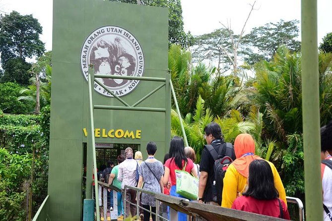 Orang Utan Island and Perak Tong Cave Temple Day Tour from Kuala Lumpur - Exploring Malaysia’s Wildlife and Culture: A Review of the Orang Utan Island and Perak Tong Cave Temple Day Tour