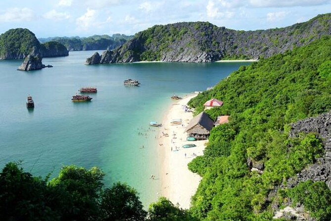 Orchid Cruises Halong Bay 2Days/1Night With 5 Star all included - Introduction: Why Orchid Cruises Stands Out