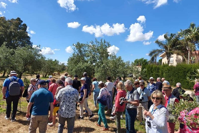 Organic EVOO tasting and guided visit to a family-run organic olive grove - Practical Details and Tips