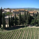 Organic Wine and Food Tasting at Historic Fattoria Majnoni - The Itinerary Breakdown: What You Can Expect