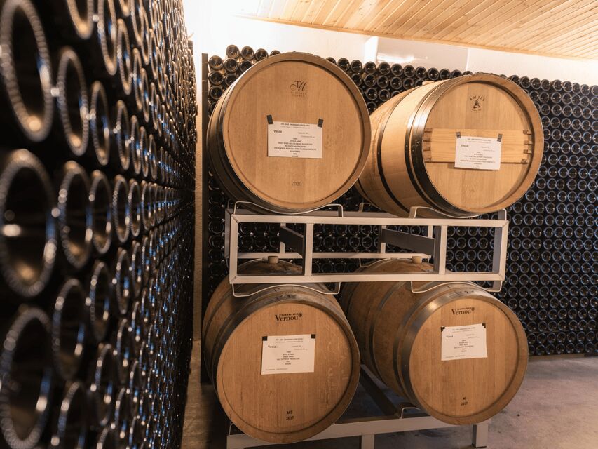 Organic Winery Visit & Wine Tasting with Food in Pavia - The Experience: What to Expect from Start to Finish