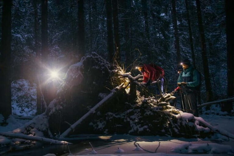 Oslo Forest: Mystery Nocturne Walk with Headlamps - A Full Breakdown of the Oslo Forest Nocturnal Adventure